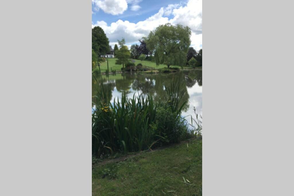Week-end détente pour 4 pers. , piscine , jacuzzi Gouvy Esterno foto